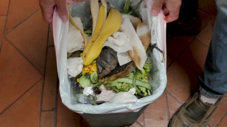 Recycling Services for Junk in West Hill, OH